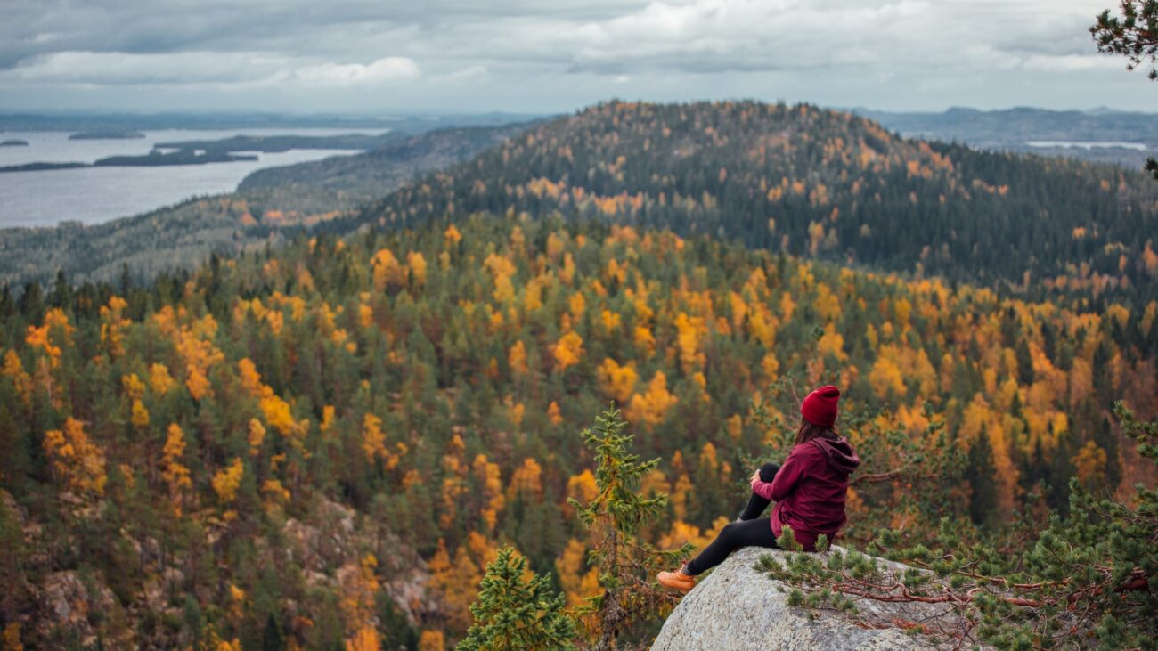 Frau sitzt auf Klippe und blickt auf ein herbstliches Waldpanorama. 