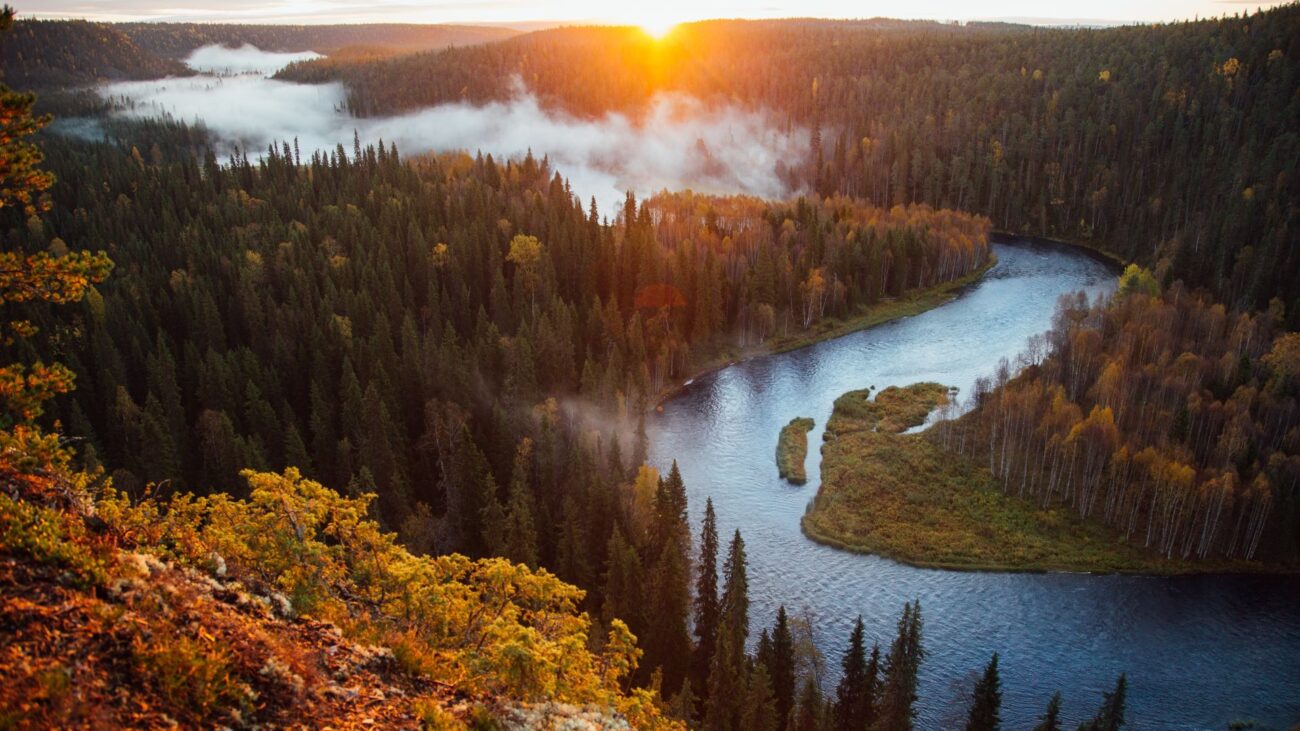 Mäandernde Flusslandschaft umringt von einem herbstlichen Mischwald.