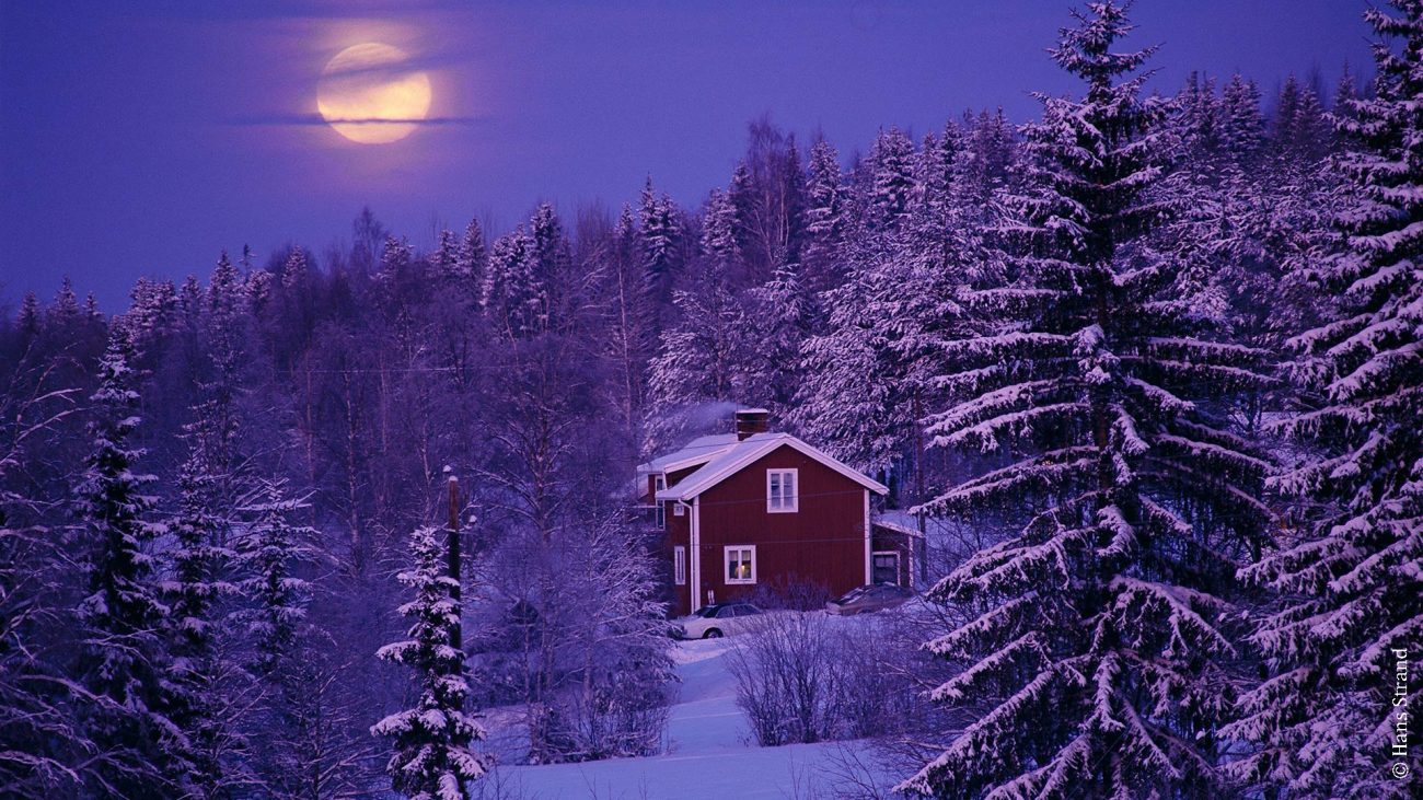 Weiße Weihnachten in Schweden – Wo liegt Schnee? - Elchkuss
