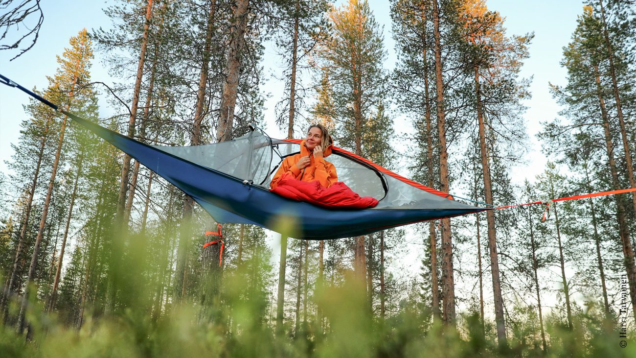 Wildcampen zwischen Bäumen