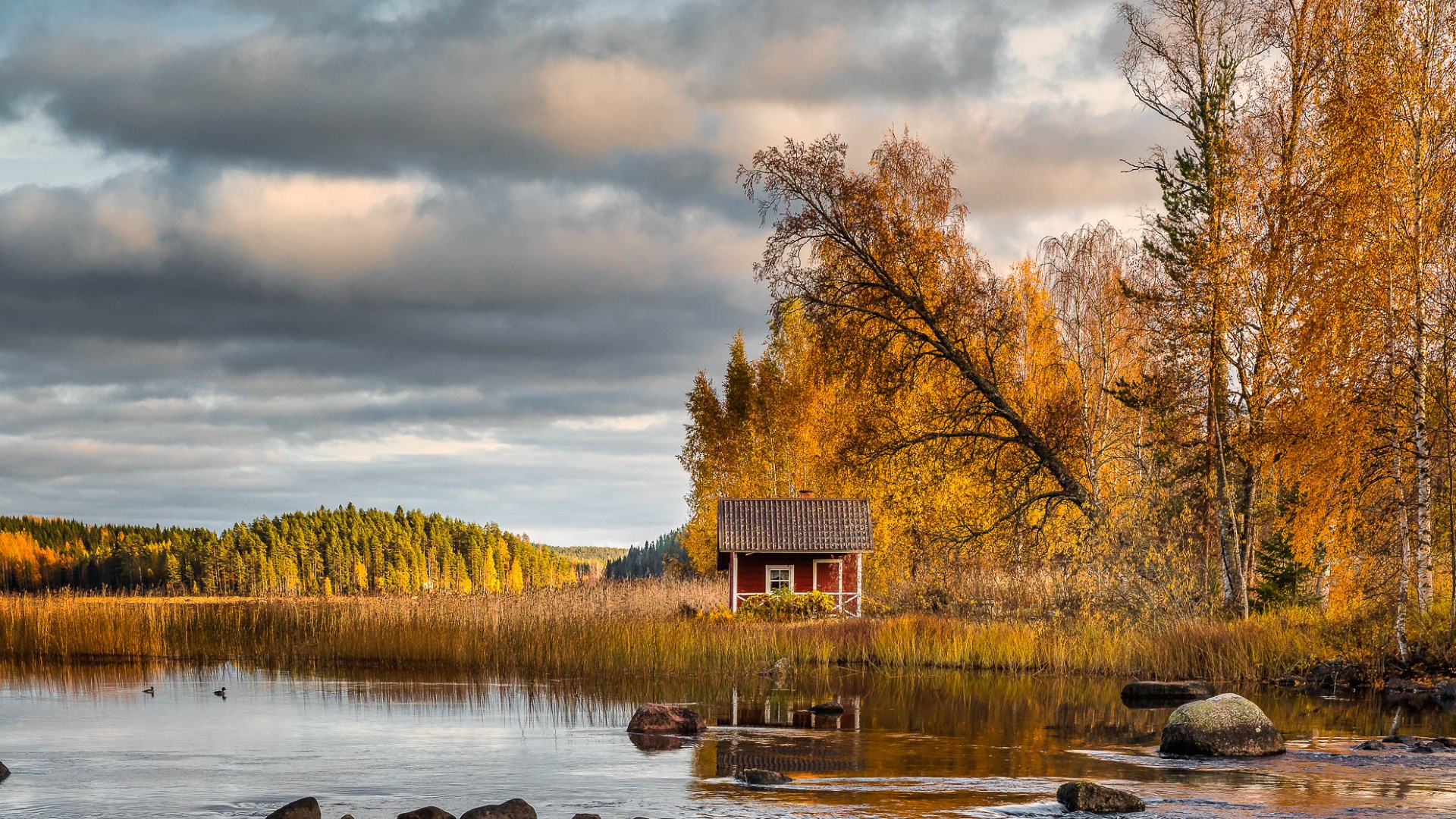 Herbst an einem finnischen See