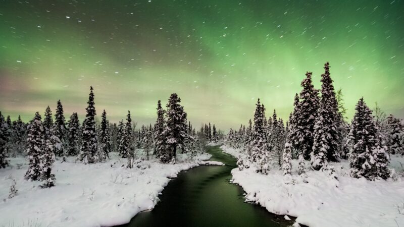 Polarlicht in Schweden © Asaf Kliger_imagebank.sweden.se